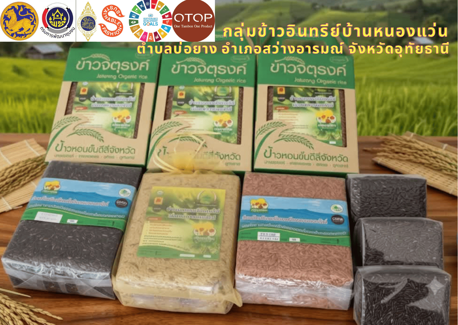  OTOP นวัตวิถี  กลุ่มข้าวอินทรีย์บ้านหนองแว่น