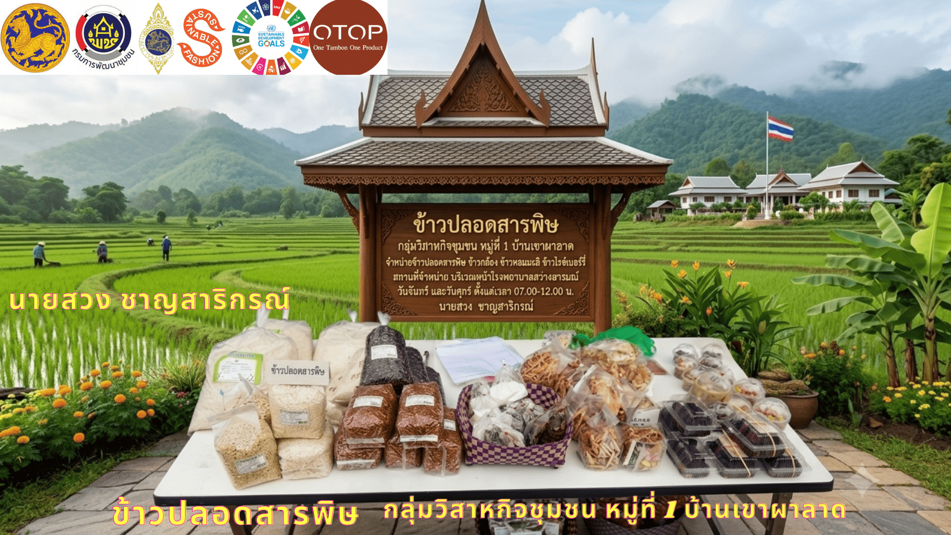 OTOP นวัตวิถี  ข้าวปลอดสารพิษ